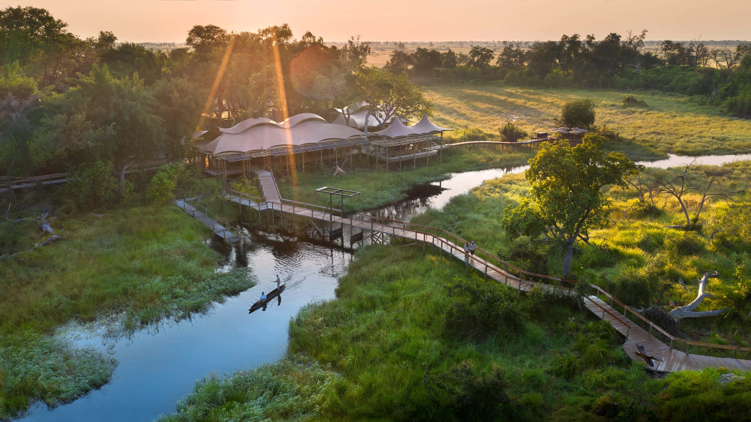 Nature Scenery 桌布 壁紙 — 陽光穿過樹木，照亮了蜿蜒經過河流和現代野生動物園帳篷的木製步道，周圍是鬱鬱蔥蔥的綠色濕地。