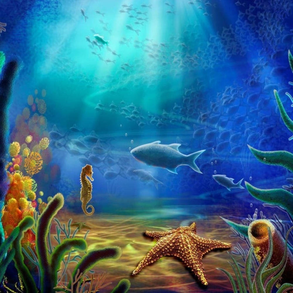 水下 桌布 壁紙 — 陽光穿過碧綠海水，照亮了充滿活力的珊瑚礁，其中有海馬、魚類和海星。