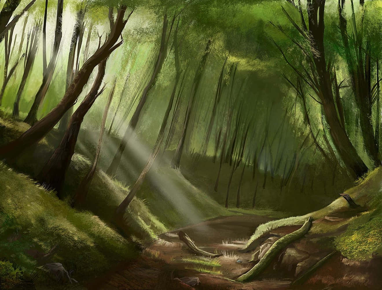 Enchanted Forest 桌布 壁紙 — 陽光穿過茂密的綠樹，將光束投射在長滿苔蘚的森林地面上，有倒下的樹木和蜿蜒的小徑。