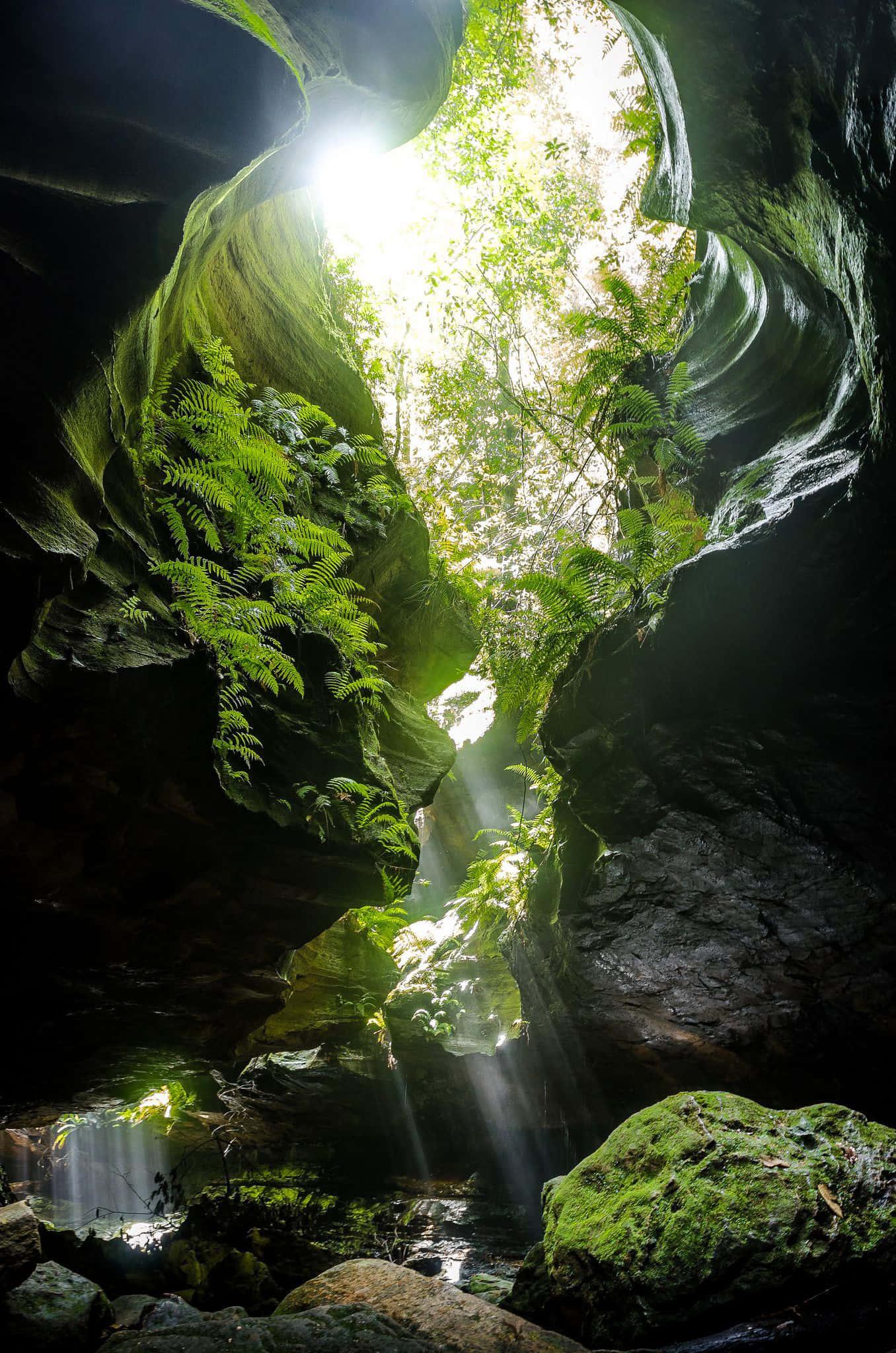 Blue Mountains National Park 桌布 壁紙 — 陽光穿過茂密的綠色樹冠，照進一個長滿苔蘚的岩石峽谷，裡面有蕨類植物和瀑布。