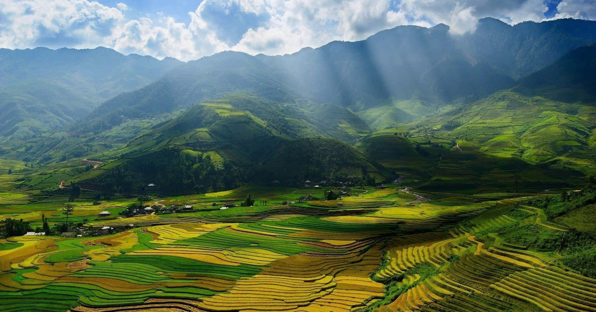 Vietnam 桌布 壁紙 — 陽光穿過雲層，照亮了坐落在鬱鬱蔥蔥的山脈之間的充滿活力的綠色和金色梯田。