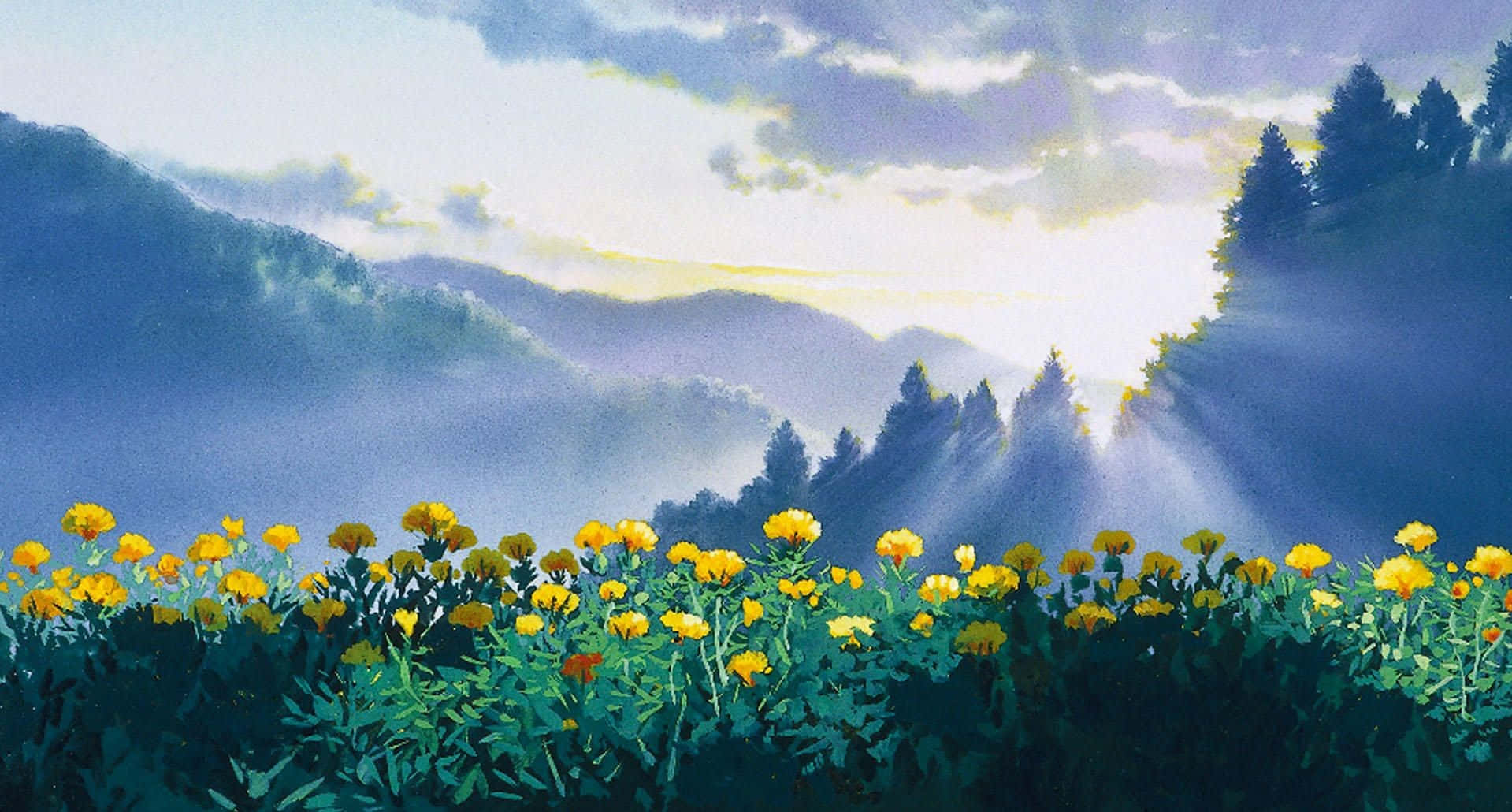 Only Yesterday 桌布 壁紙 — 陽光穿過霧氣繚繞的山巒，照亮了一片充滿活力的黃色野花田。