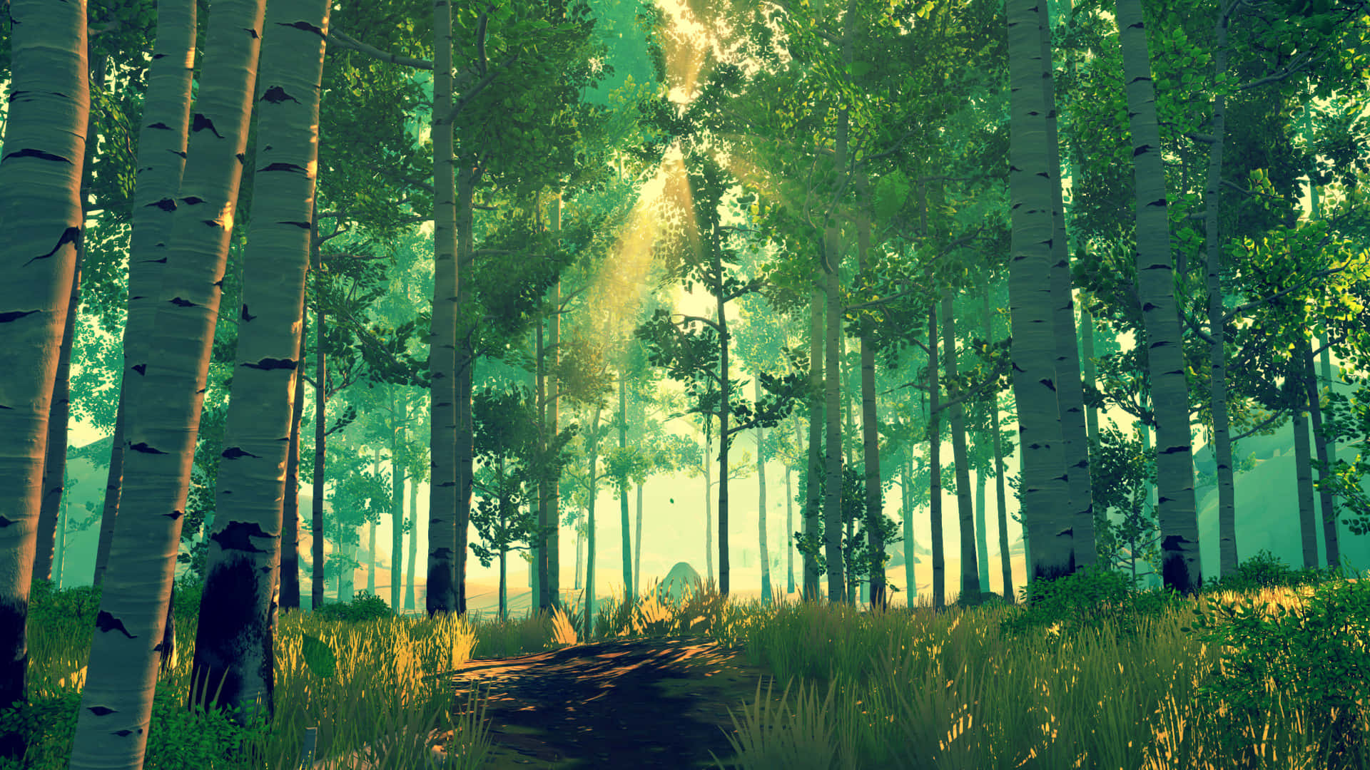 Beautiful Forest 桌布 壁紙 — 陽光穿過高大的白楊樹，將金色光束投射在長滿苔蘚的森林地面上。