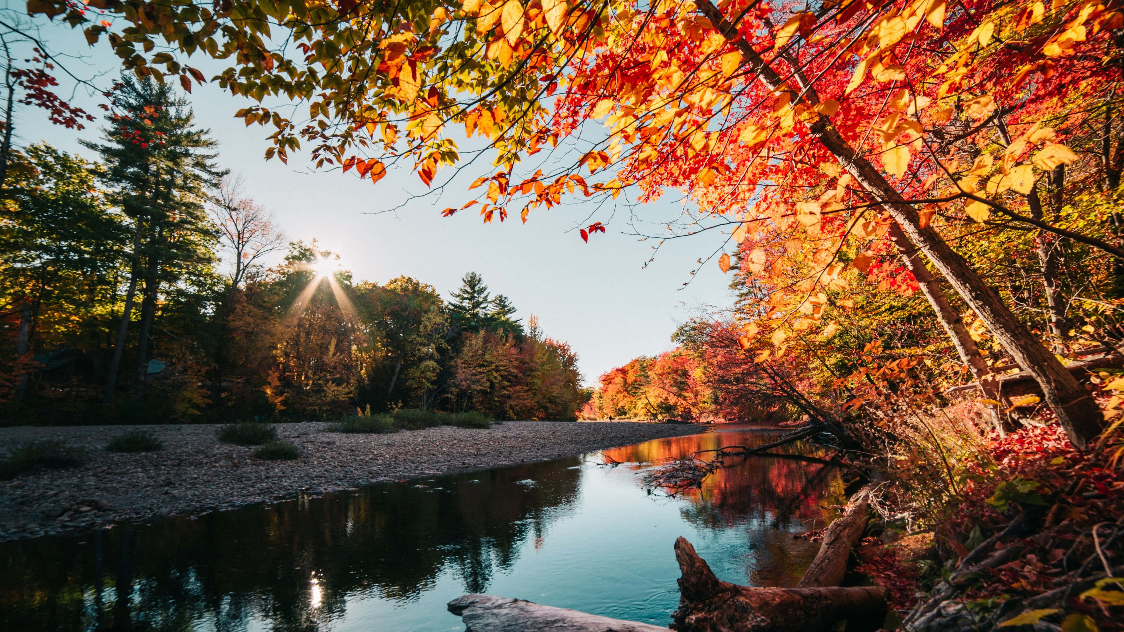 Fall Lake 桌布 壁紙 — 陽光穿過鮮豔的橙色和紅色秋葉，框住一條平靜的河流，倒映著色彩繽紛的森林。