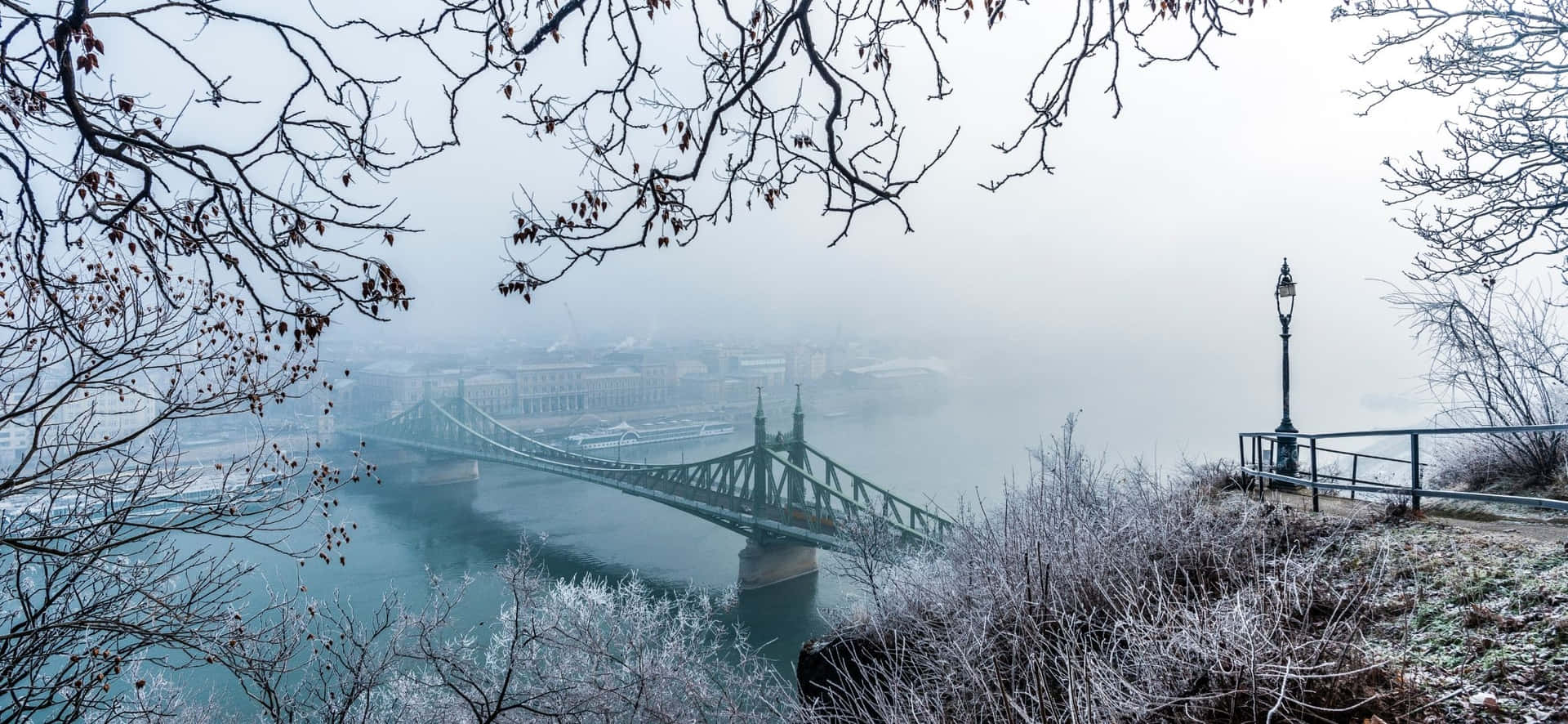 霧氣冬日早晨，透過光禿樹枝看到的霜凍河橋。