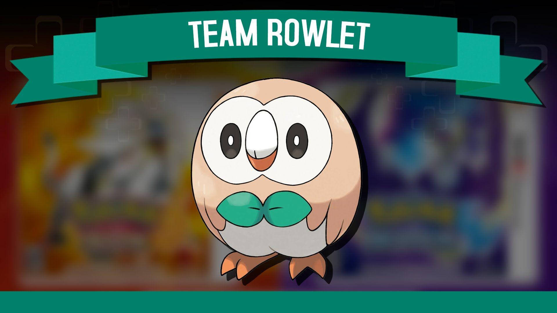 Team Rowlet橫幅，上面有一隻戴著綠色蝴蝶結的卡通貓頭鷹寶可夢。