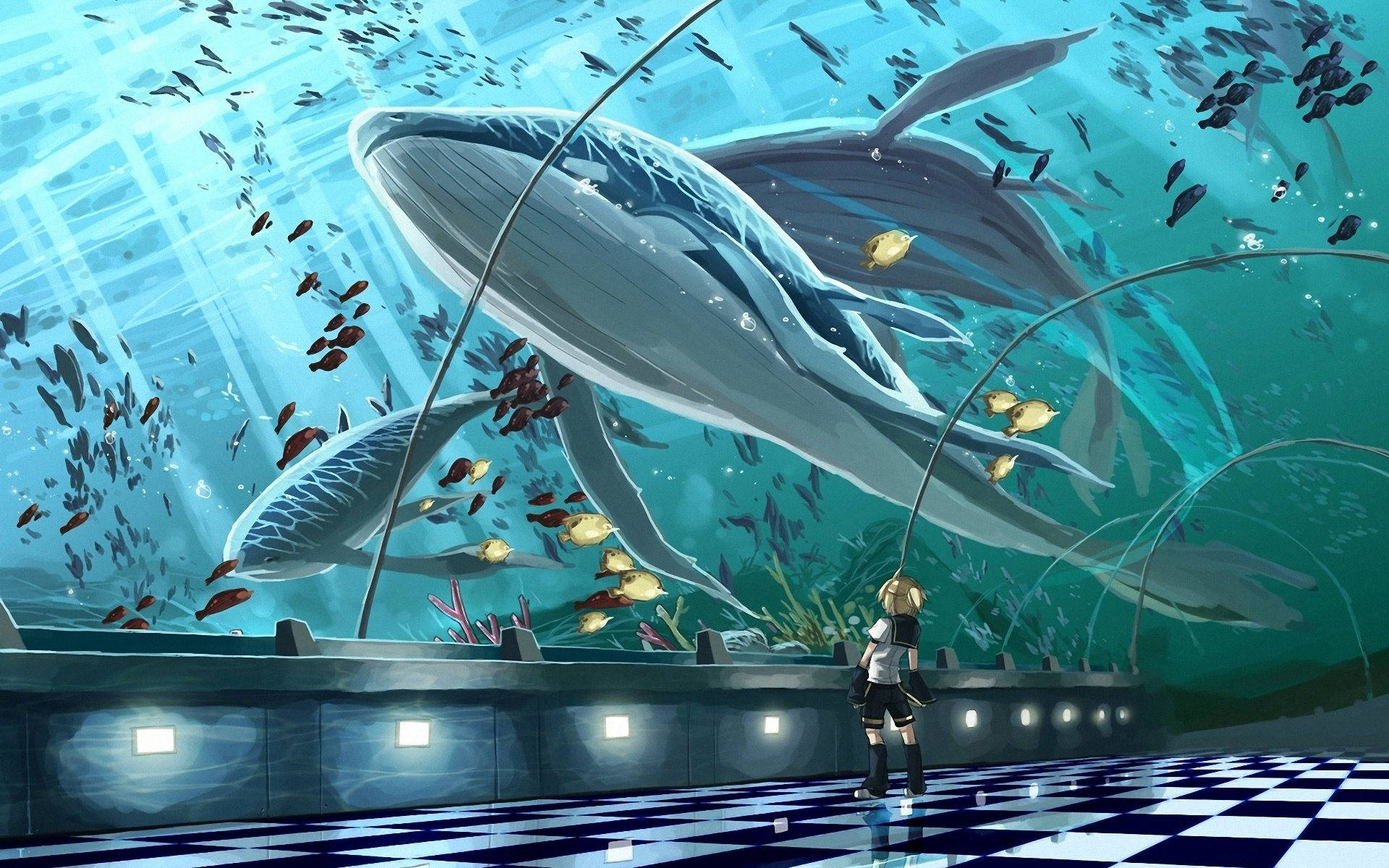 隧道水族館中的巨型鯨魚 壁紙 — 一個年輕女孩站在棋盤格地板上，仰望在陽光照射的水族館中游動的巨大鯨魚，水族館裡充滿了魚群。