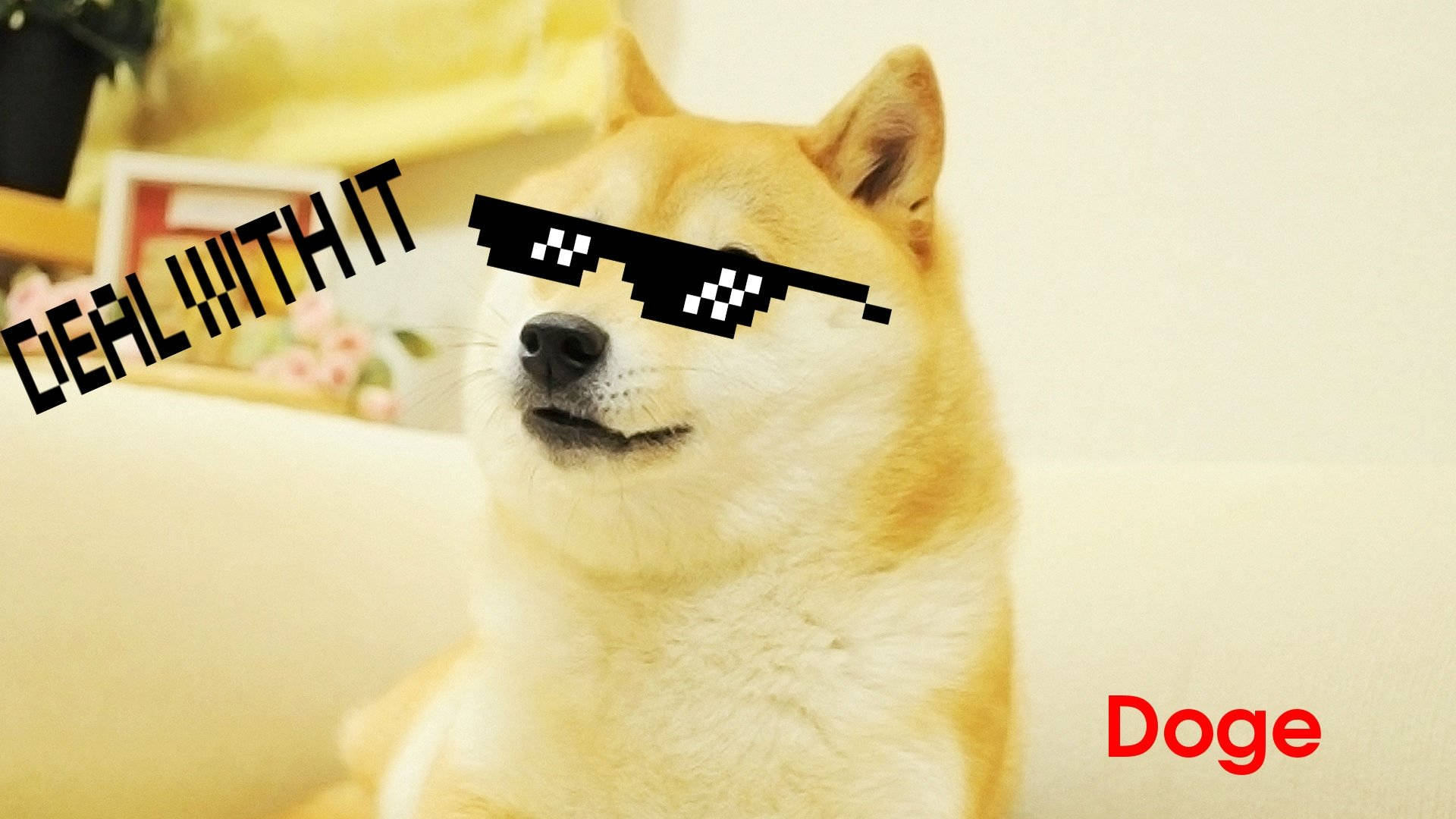 柴犬戴著像素太陽眼鏡，帶有 'DEAL WITH IT' 文字和 'Doge' 標籤。