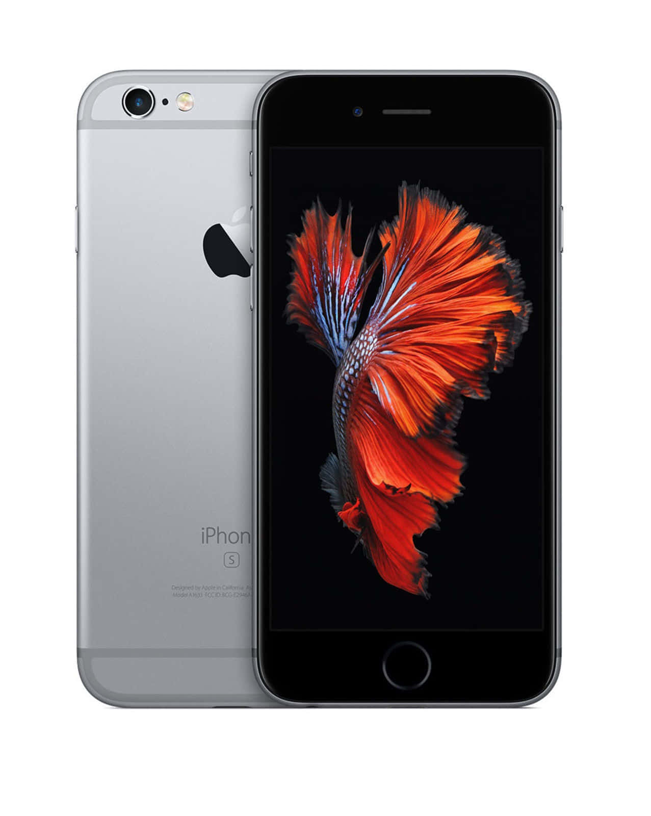 隨時保持連線，擁抱最新Apple手機 壁紙 — 銀色 iPhone 6s 正面和背面展示，螢幕上帶有鮮豔橙色鬥魚壁紙。