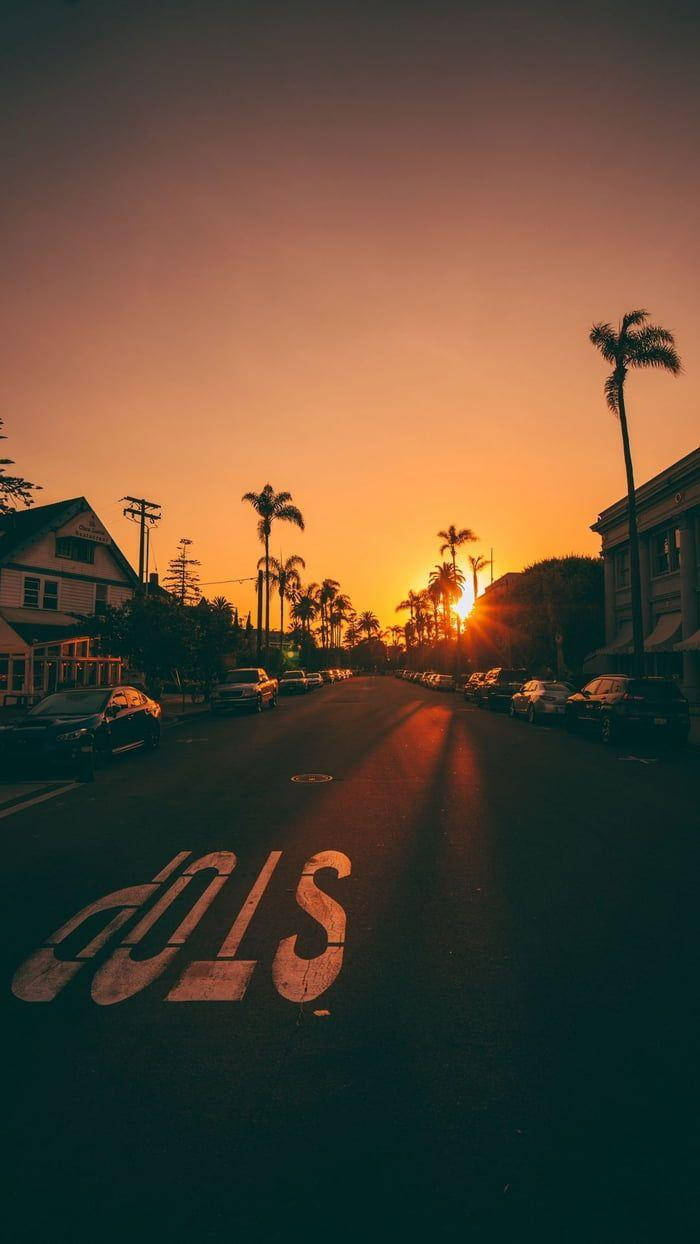 夕陽下的棕櫚樹街道，褪色的慢行道路標記
