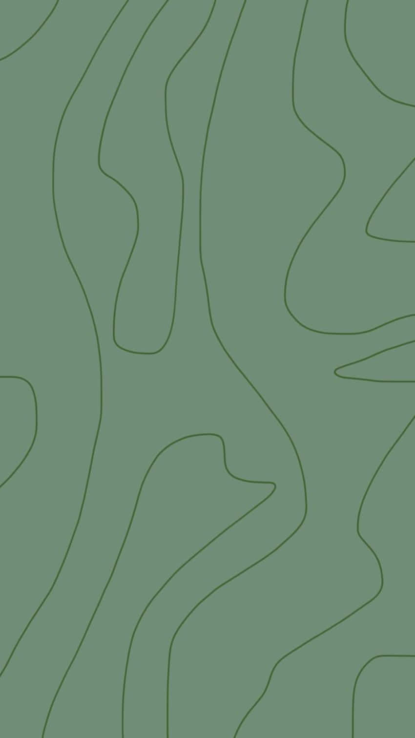綠色背景上流動線條的極簡抽象圖案