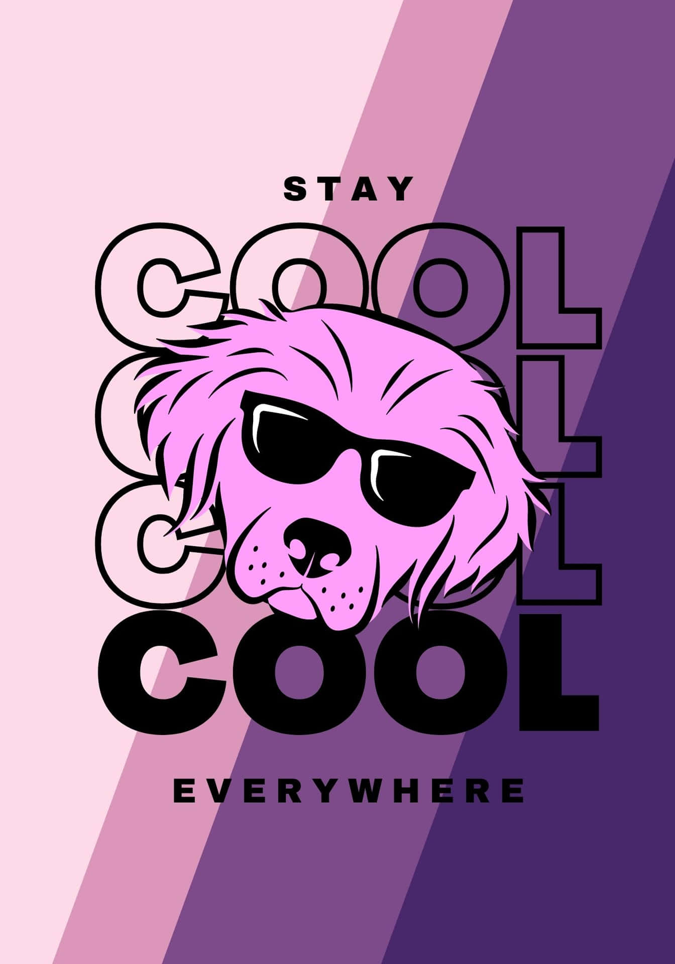 粉紅色狗戴太陽眼鏡，漸變背景上有「stay cool everywhere」文字