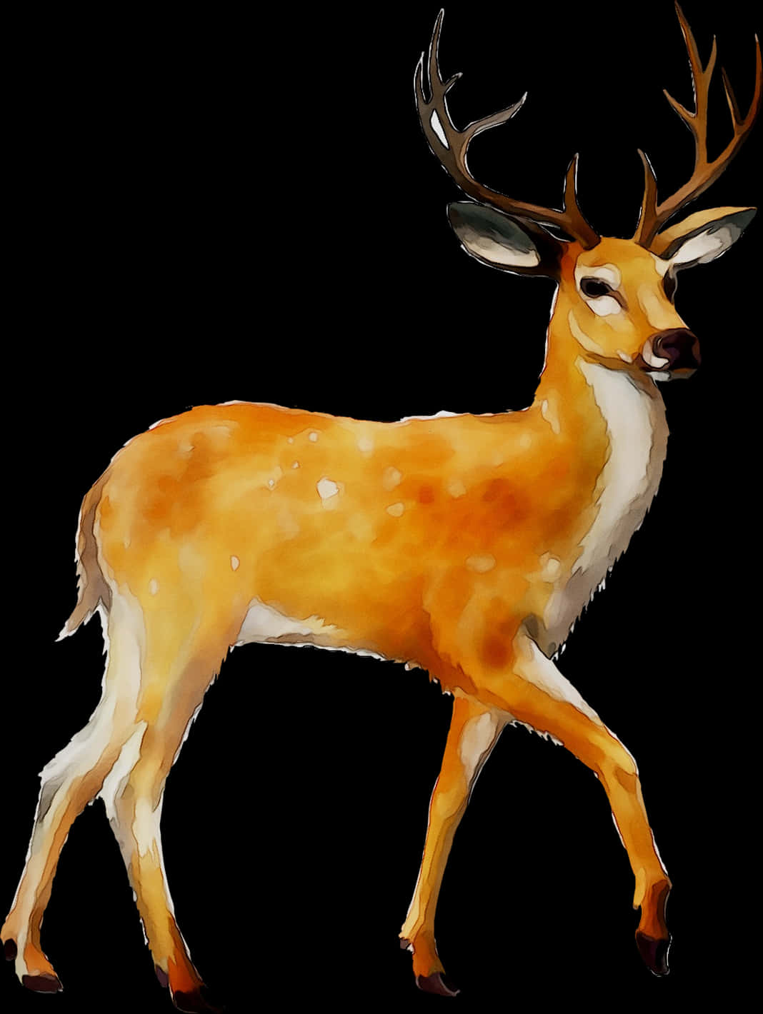 雄偉白尾鹿插圖 壁紙