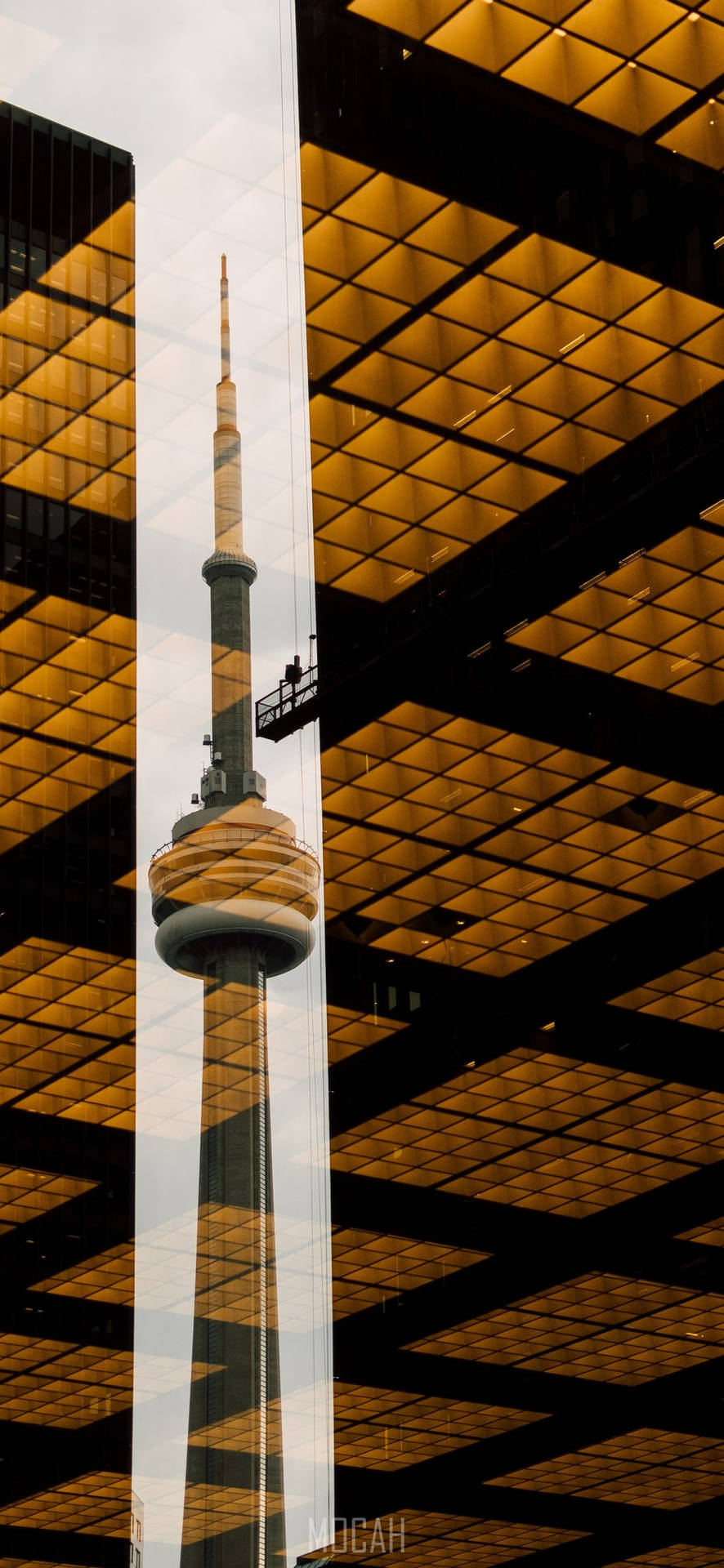 CN塔倒映在帶有金色網格圖案的玻璃建築物上。