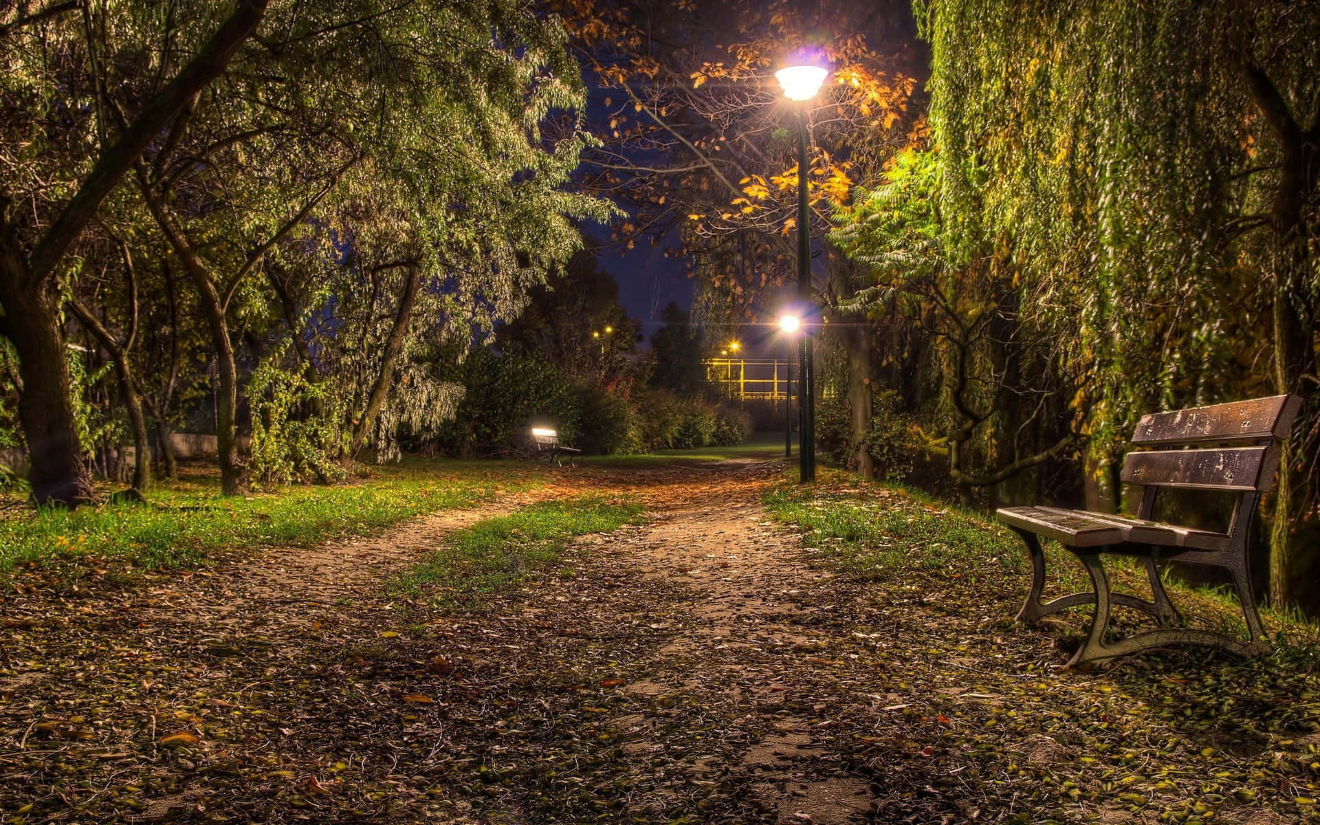 一張木凳在寧靜的秋夜公園裡，位於落葉覆蓋的小徑上，街燈下。