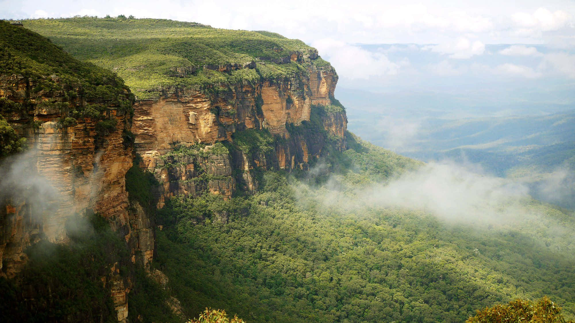 Blue Mountains National Park 桌布 壁紙 — 雄偉的懸崖峭壁聳立在霧氣瀰漫的山谷之上，山谷被茂密的綠色森林覆蓋，天空明亮。