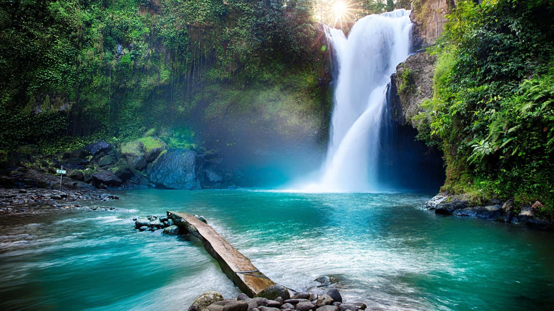 Waterfalls 桌布 壁紙 — 雄偉的瀑布傾瀉而下，流入一個被茂密綠色叢林環繞的碧綠水池，陽光穿過樹冠照射下來。