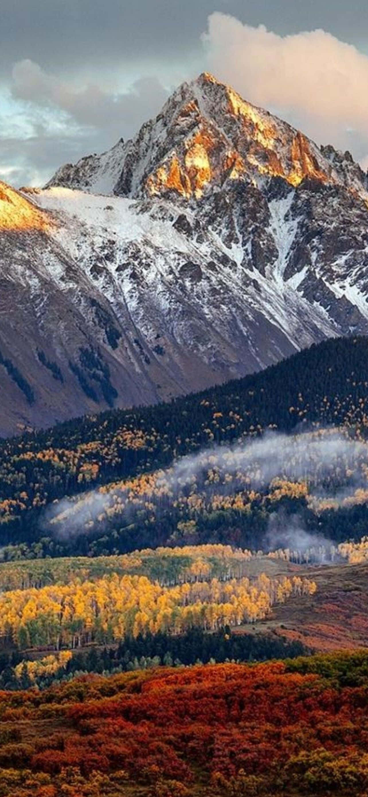 Mountain iPhone 桌布 壁紙 — 雄偉的雪山山峰沐浴在金色的日出光芒中，聳立在下方充滿活力的秋林之上。