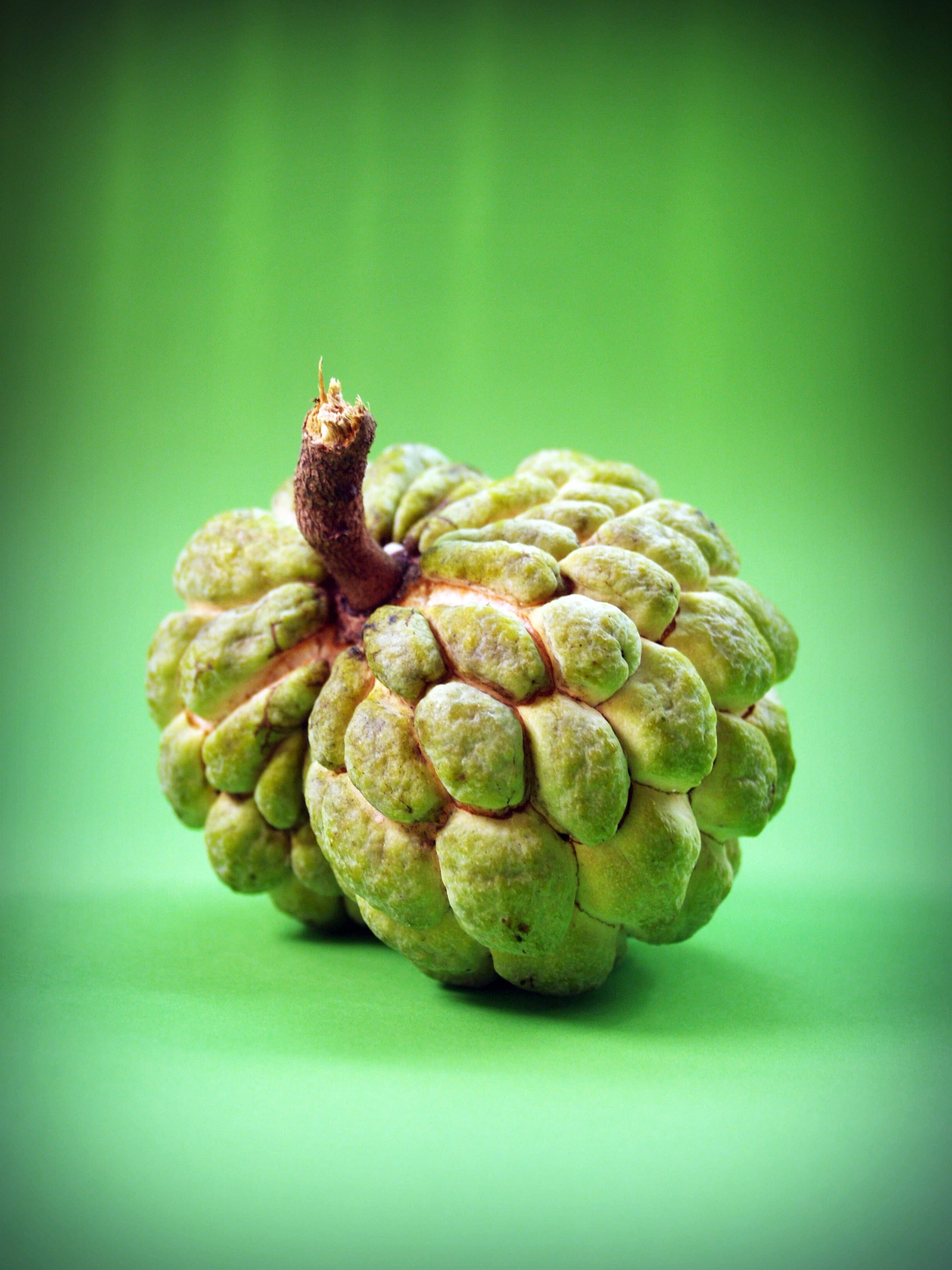 雄偉糖蘋果 壁紙 — 一個綠色嘅custard apple，表面凹凸不平，有啡色嘅莖，位於充滿活力嘅綠色漸變背景中央。