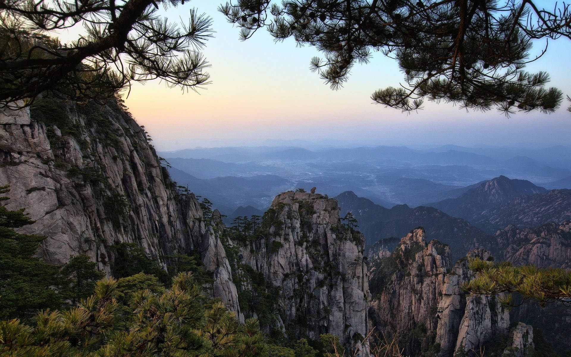 松枝框住嘅山頂黎明，下方係迷霧山谷。