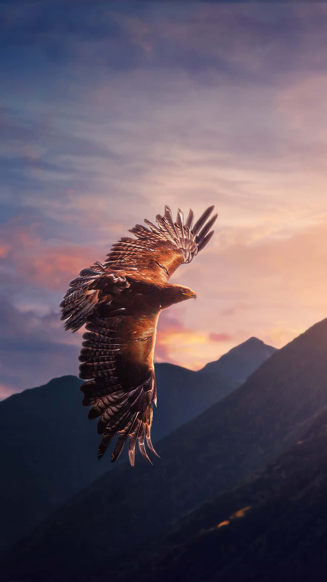 鷹在日落時分展翅飛越山脈。