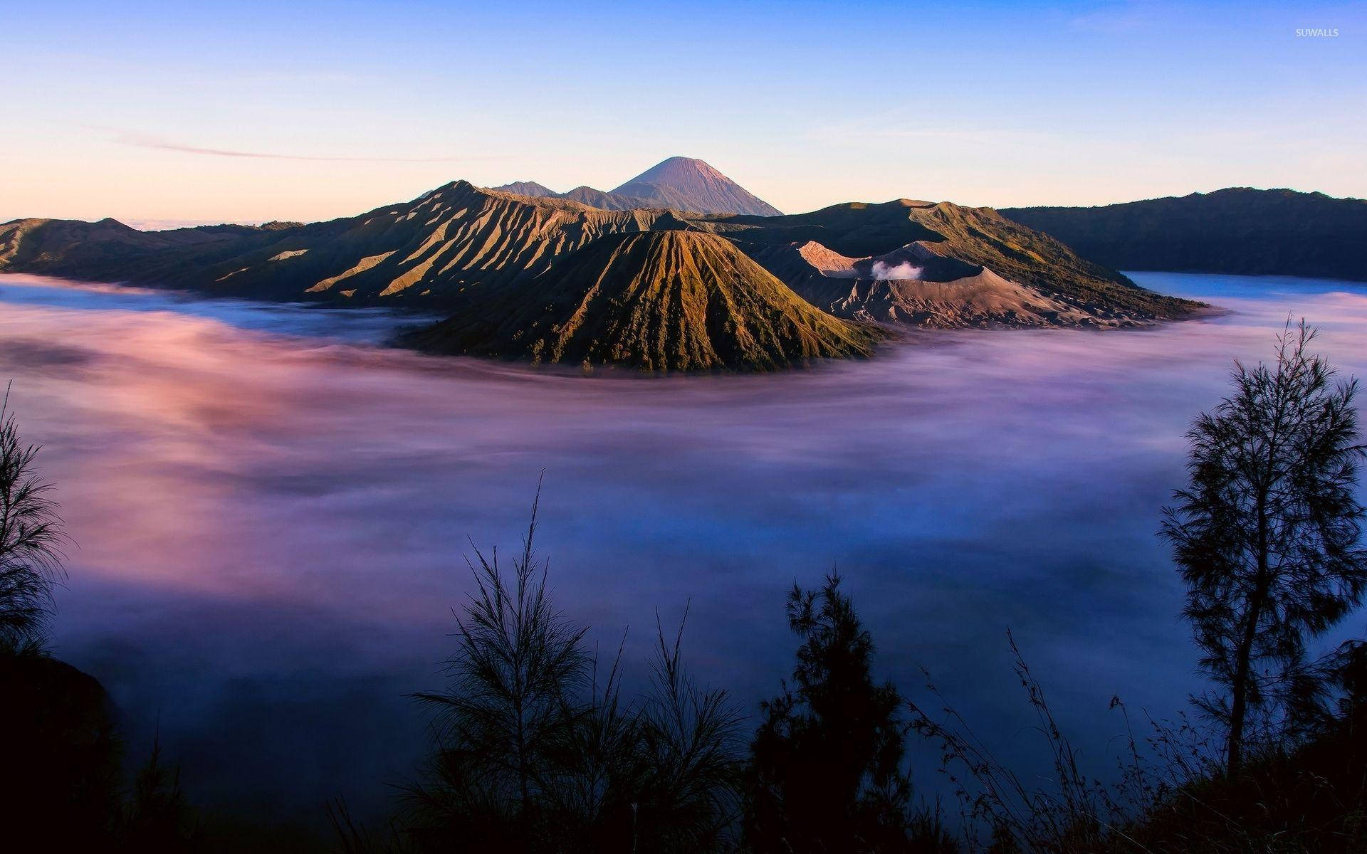 雅加達紫雲 壁紙 — 日出將火山山峰沐浴在金色光芒中，霧氣雲朵在下方旋轉，像一片紫色和藍色的海洋。