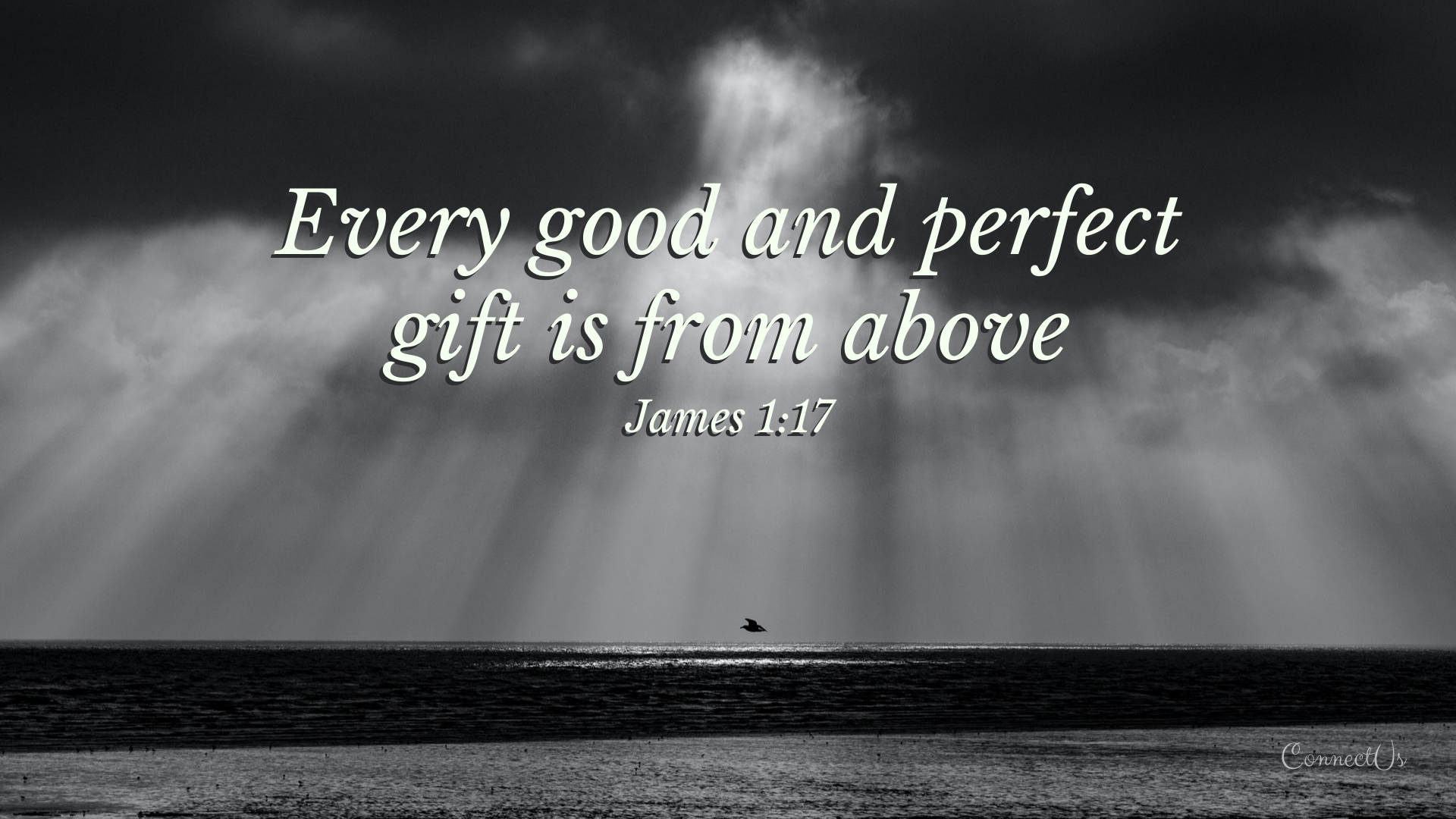 雅各書 1:17 經文壁紙 壁紙 — 一隻孤鳥飛越平靜的海面，神聖的光芒穿過暴風雲層，構成單色調的勵志場景。