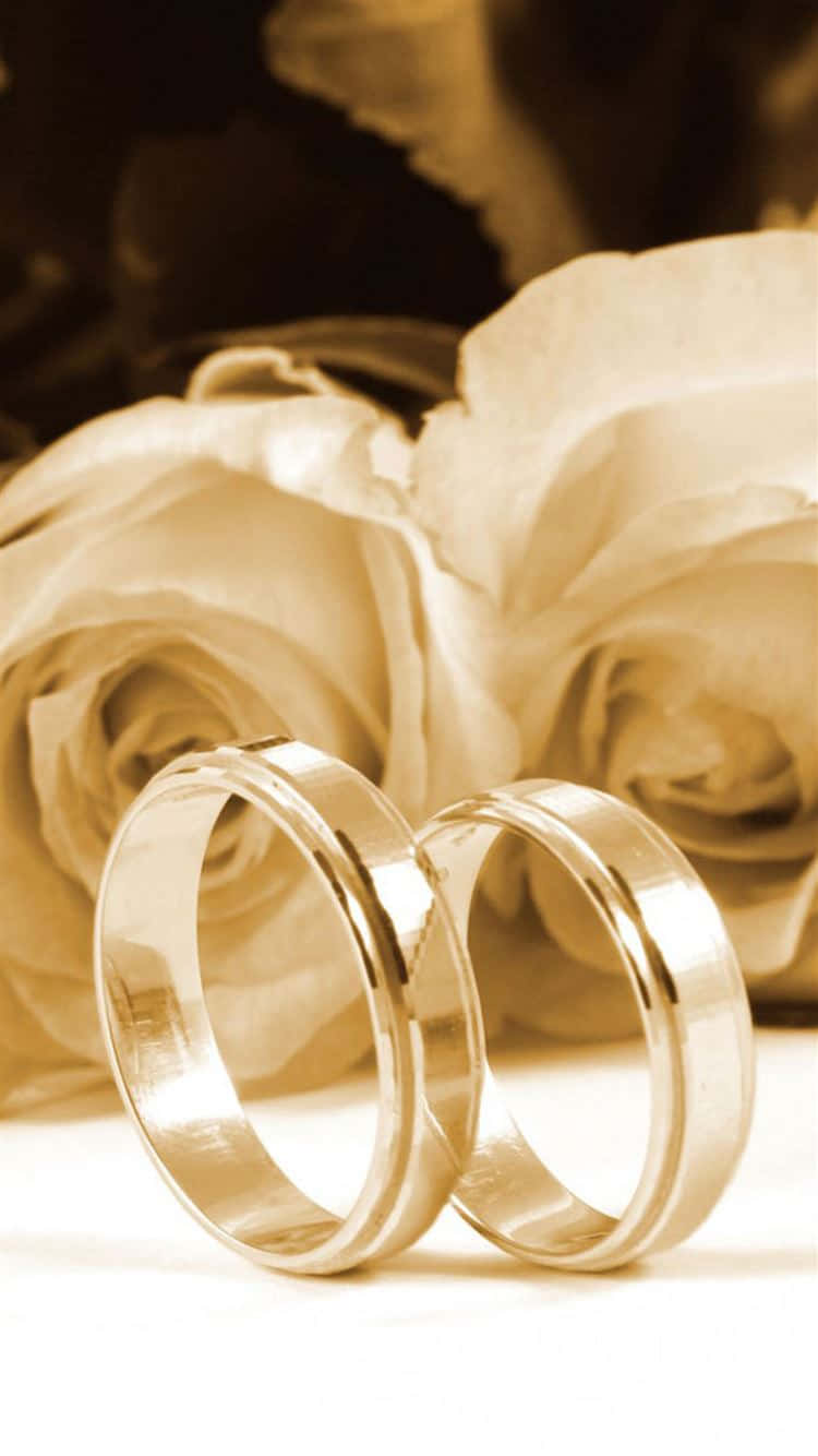 雅緻婚戒與花朵 壁紙 — 兩枚閃閃發光的結婚戒指放在柔軟的白玫瑰旁，呈現溫暖的懷舊色調特寫。
