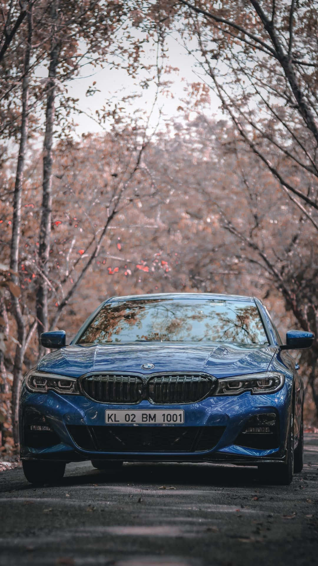 集雙重優勢於一身 - Android 與 BMW 壁紙 — 一輛時尚的藍色寶馬轎車停泊在森林道路上，周圍是光禿禿的秋樹，光線柔和而擴散。