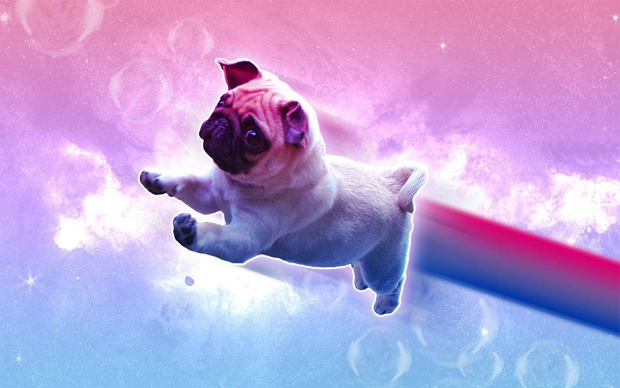 雙性戀美學彩虹鬥牛犬 壁紙 — 一隻可愛的巴哥犬幼犬在夢幻般的宇宙星雲中漂浮在半空中，周圍有發光的泡泡和星空的紫藍色漸變。