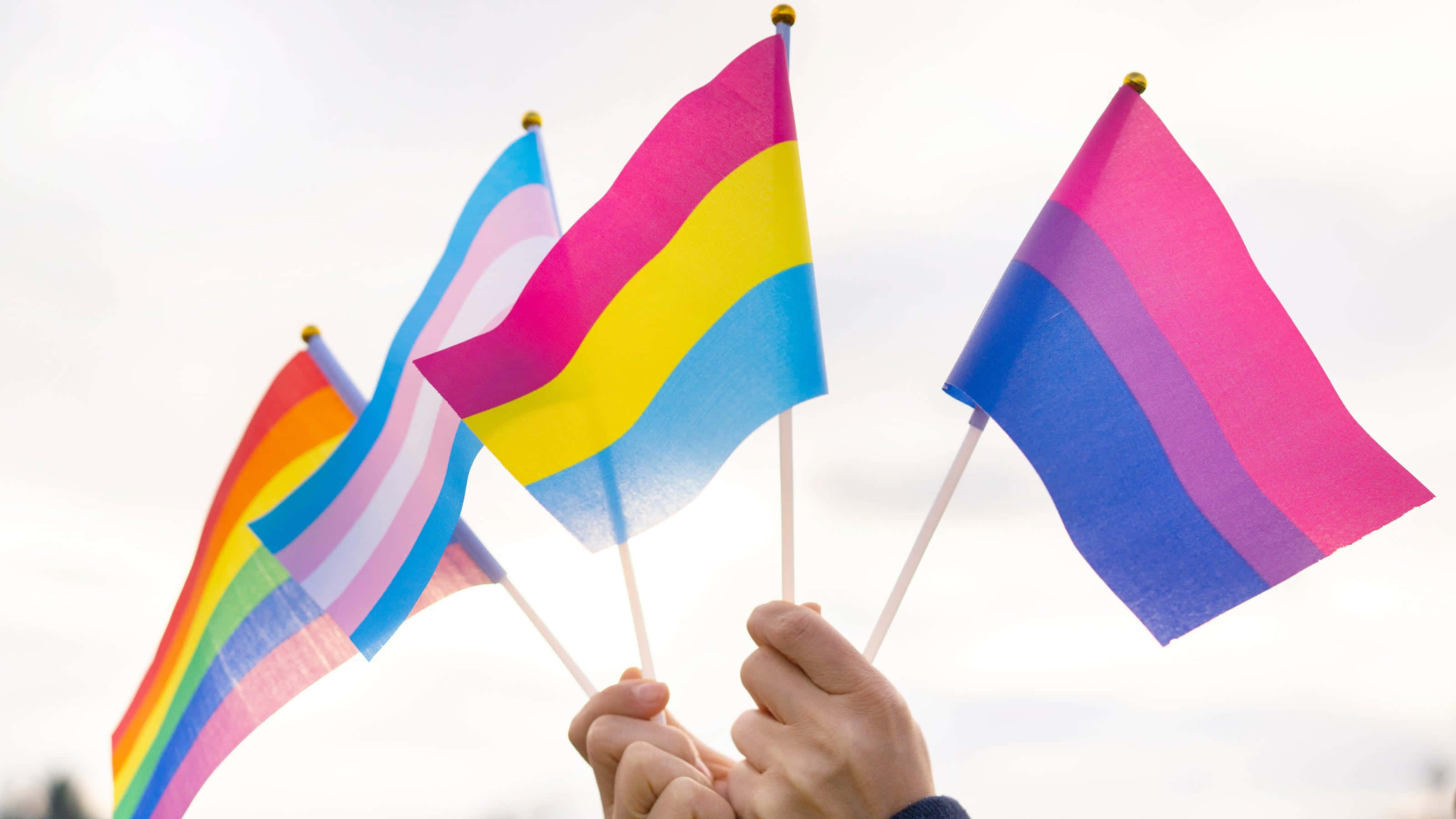 彩虹旗 桌布 壁紙 — 雙手在柔和的多雲天空下舉起色彩繽紛的LGBTQ+驕傲旗幟，展現充滿活力的團結精神。