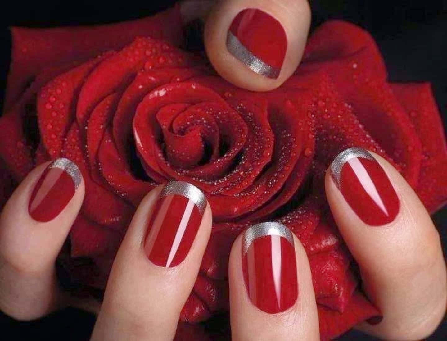 Cute Nails 桌布 壁紙 — 雙手帶有紅色和銀色指甲，在深色背景中捧著一朵帶露水的深紅玫瑰。