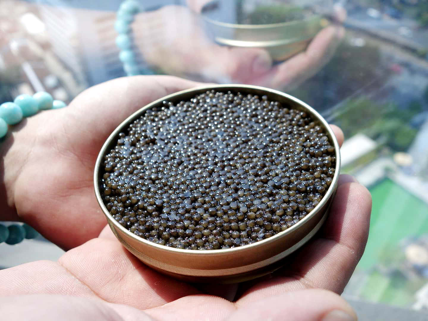 Black Caviar 桌布 壁紙 — 雙手捧著一罐金色嘅黑魚子醬，背景係模糊嘅城市景觀。