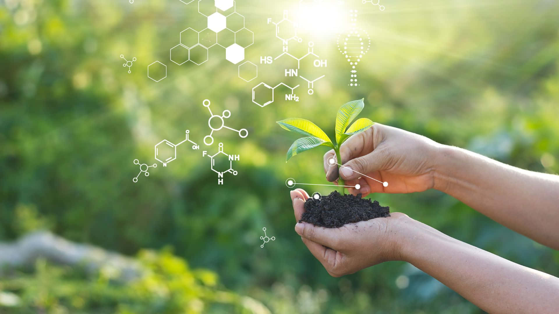 Green Chemistry 桌布 壁紙 — 雙手捧著帶有嫩芽的泥土，發光的化學公式在陽光明媚的綠色田野上方飄浮。