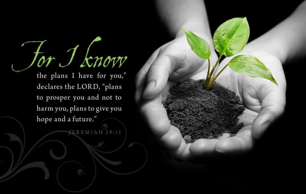 Cute Bible Verse 桌布 壁紙 — 雙手捧著從泥土中冒出的鮮綠嫩芽，背景為黑色，並有優雅字體的聖經經文。