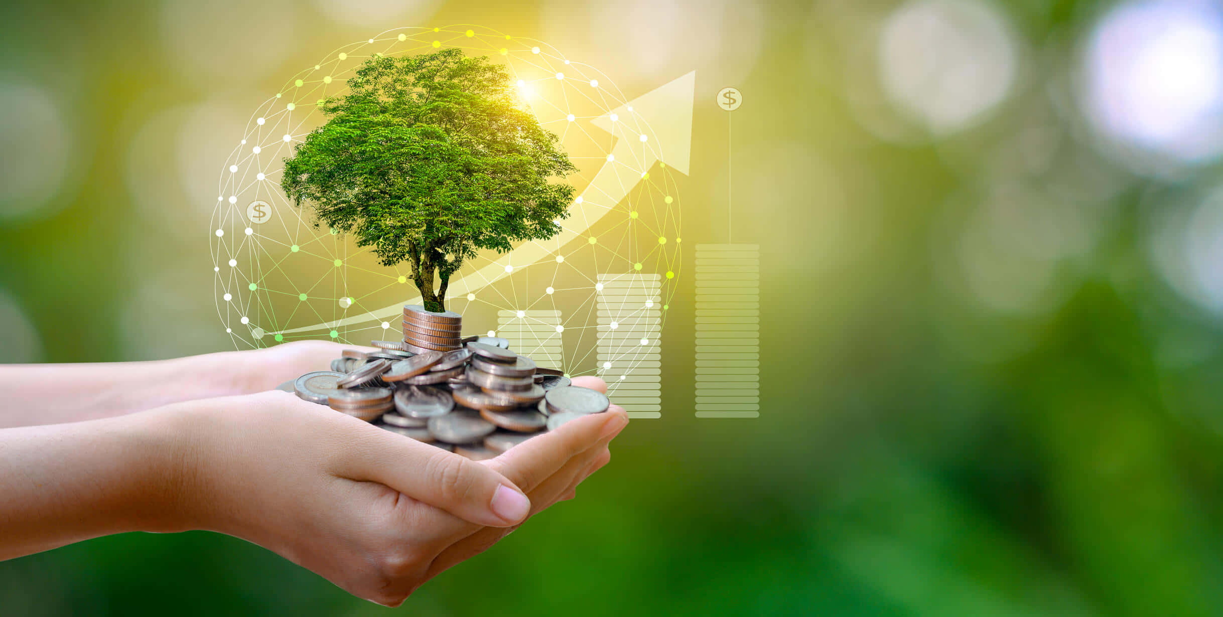 Green Economy 桌布 壁紙 — 雙手捧著硬幣，硬幣長成一棵樹，伴隨著發光的金融圖表和箭頭，象徵可持續的投資增長。