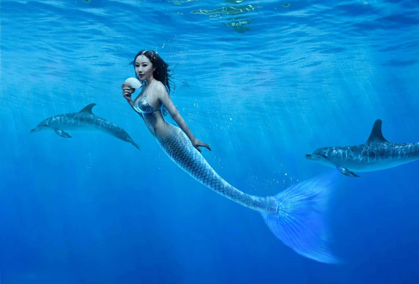 一條擁有藍色尾巴的美人魚手持貝殼，海豚在她旁邊的水中游動。 — 水下 壁紙