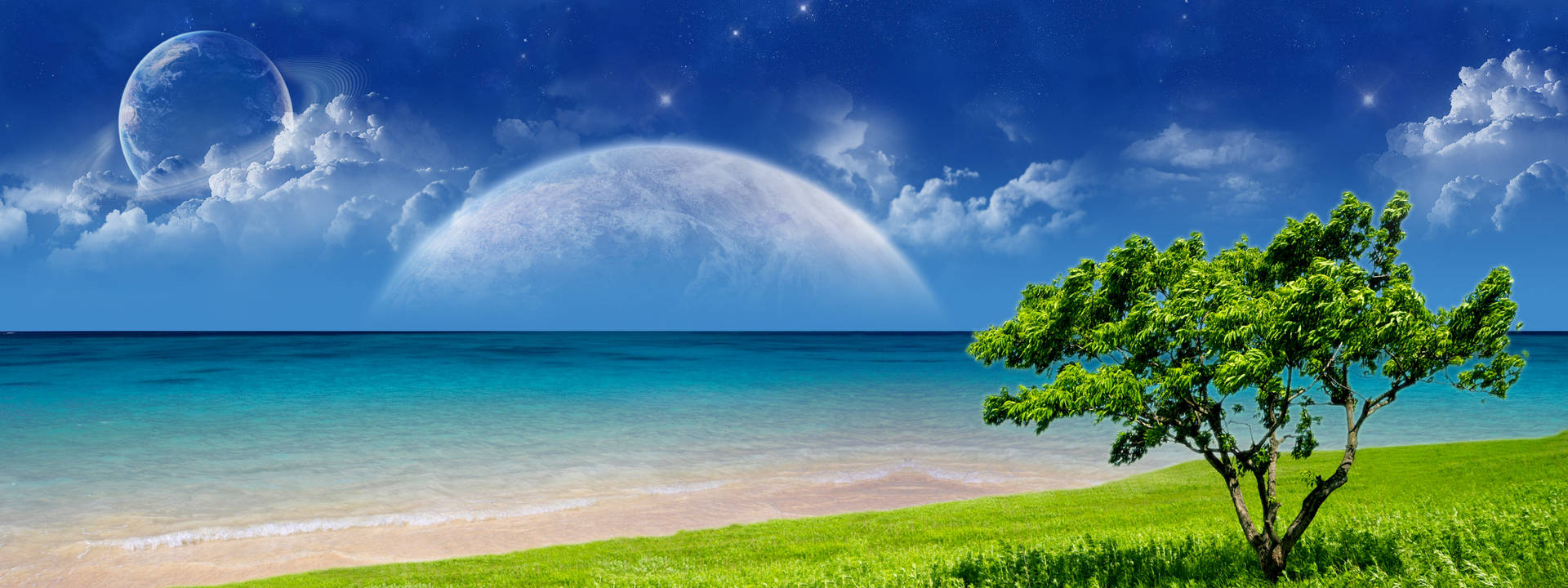 夜晚草灘上的孤樹，上方有兩個月亮和星星。