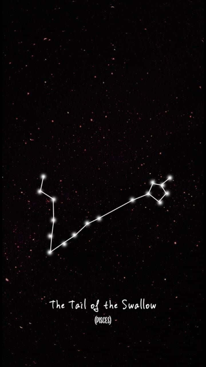 雙魚座 桌布 壁紙 — 雙魚座「燕尾」在星空下閃耀的極簡星座插圖。