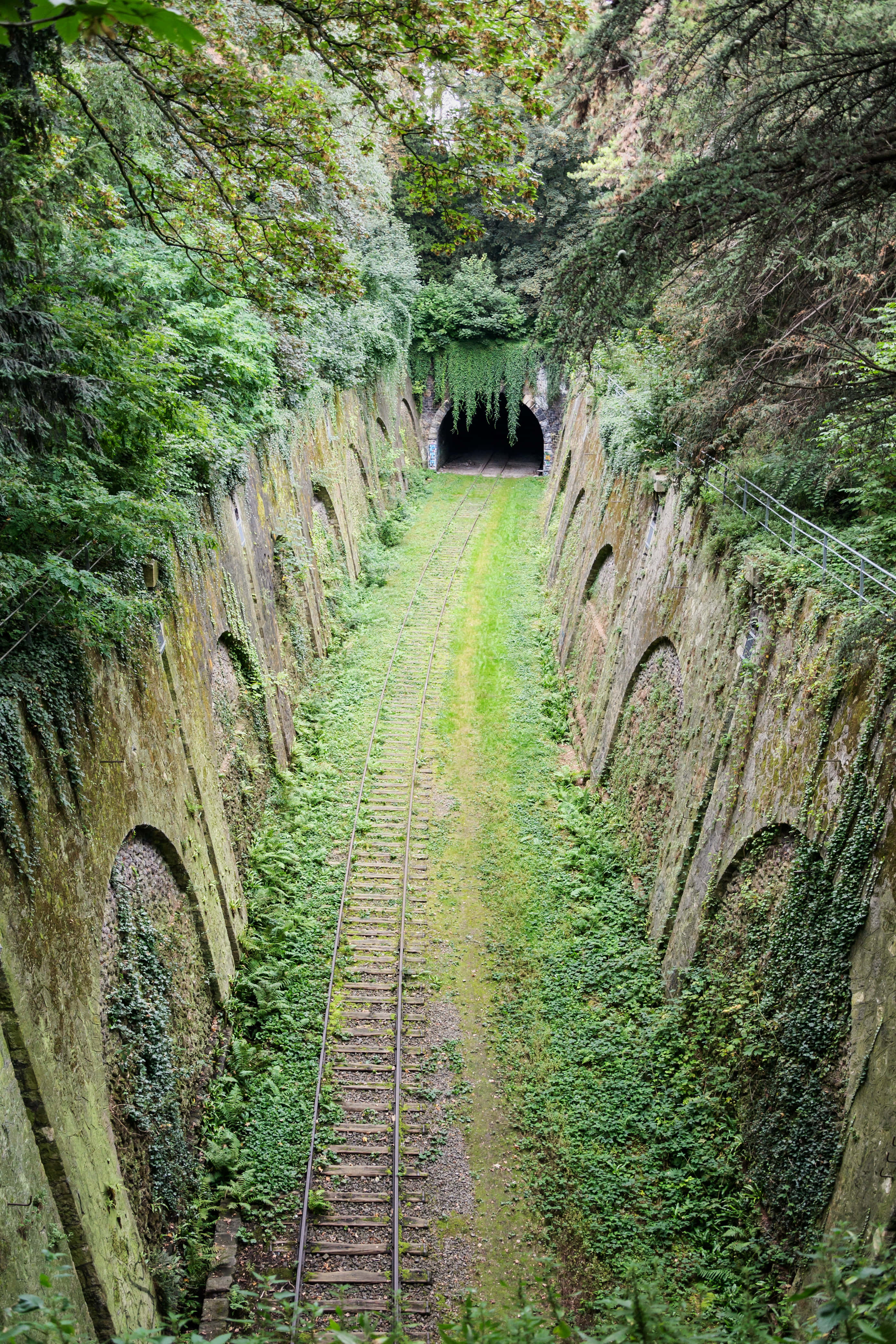 La Petite Ceinture 壁紙 — 雜草叢生的鐵路軌道通向一個長滿青苔的石隧道，四周被茂密的綠色森林環繞。