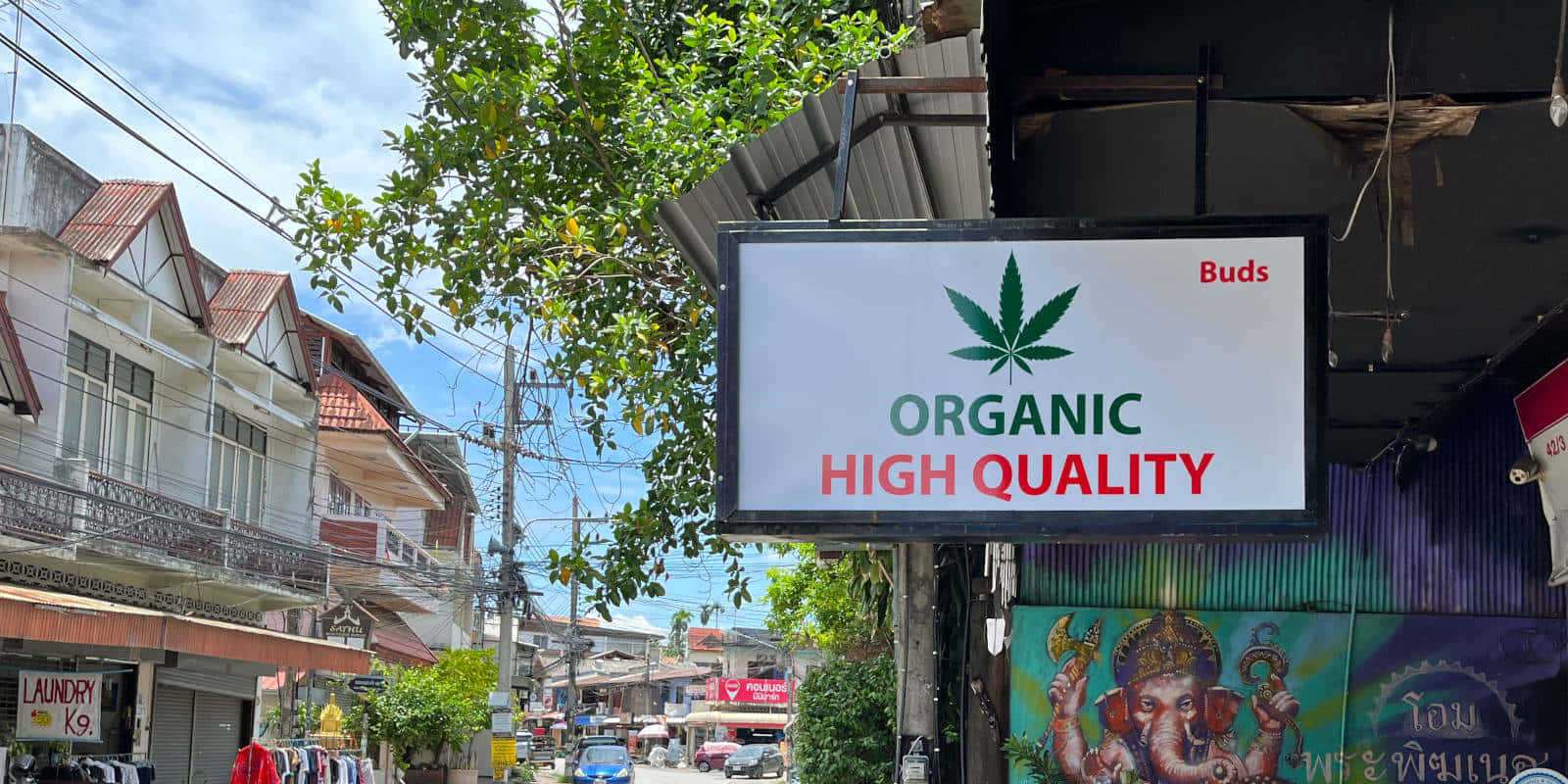 一個商店招牌，在熱帶城市街道環境中宣傳有機高品質大麻花蕾。