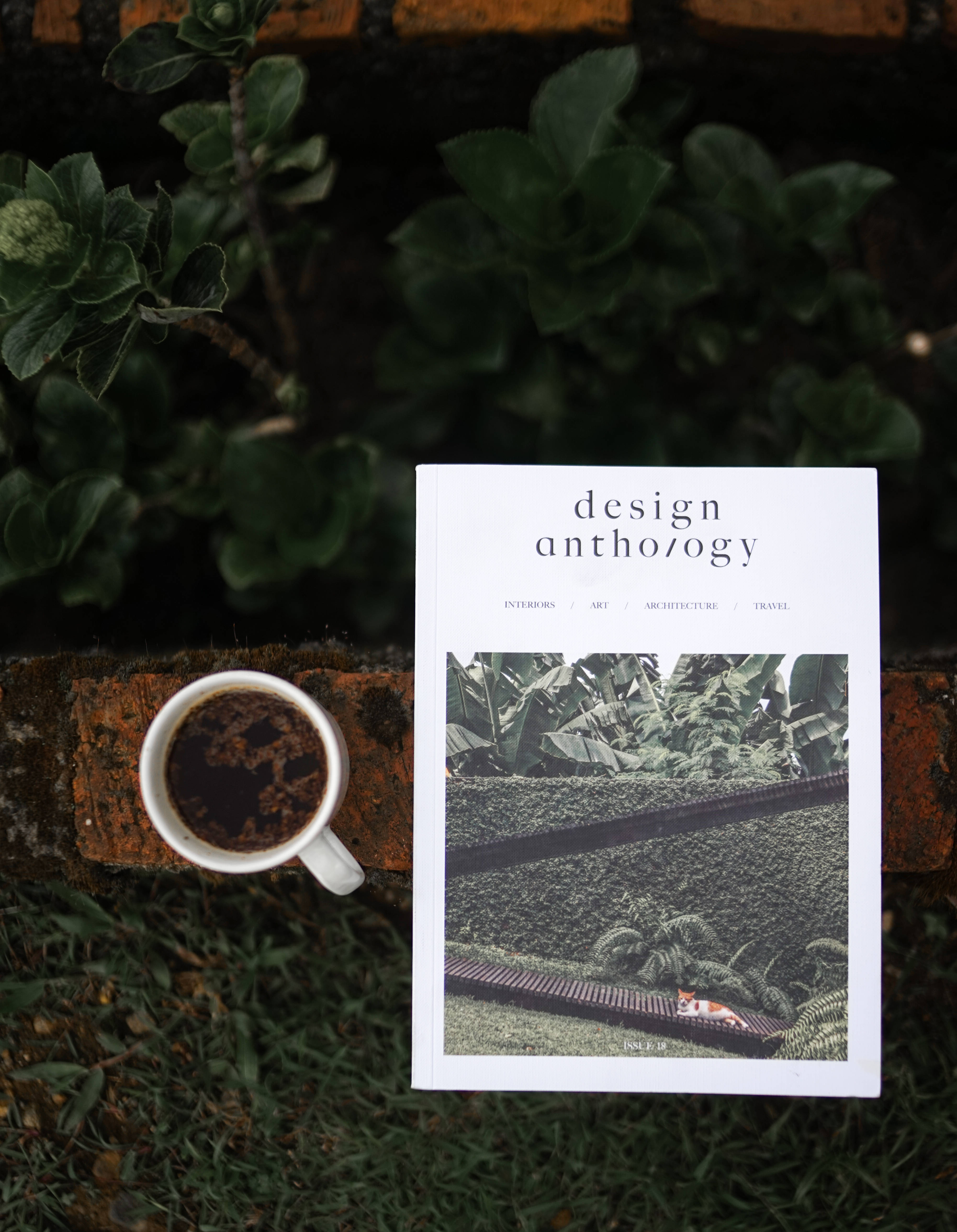 雜誌與咖啡杯 壁紙 — 一個白色咖啡杯和「design anthology」雜誌放在一個被茂密綠葉環繞的磚砌壁架上。