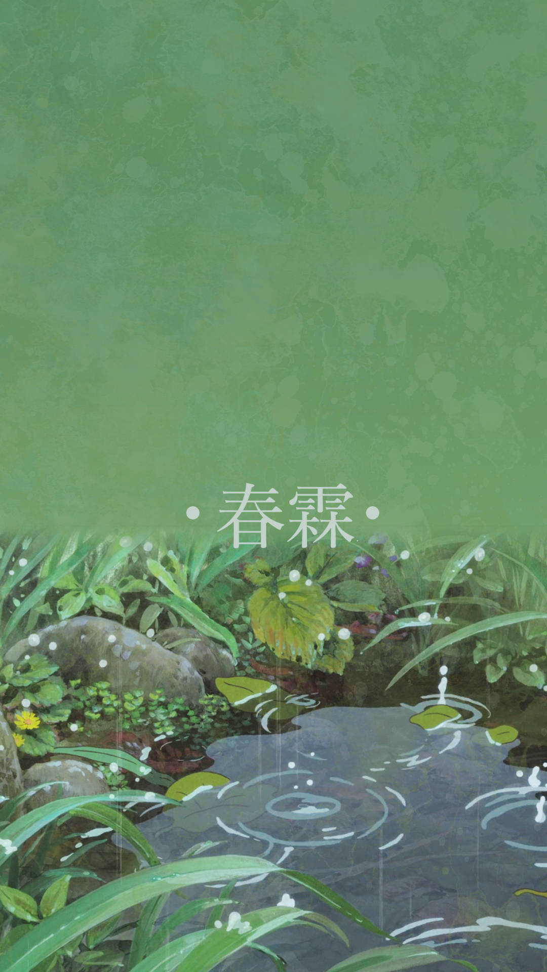 雨滴落入一個被綠色植物和石頭環繞的池塘。