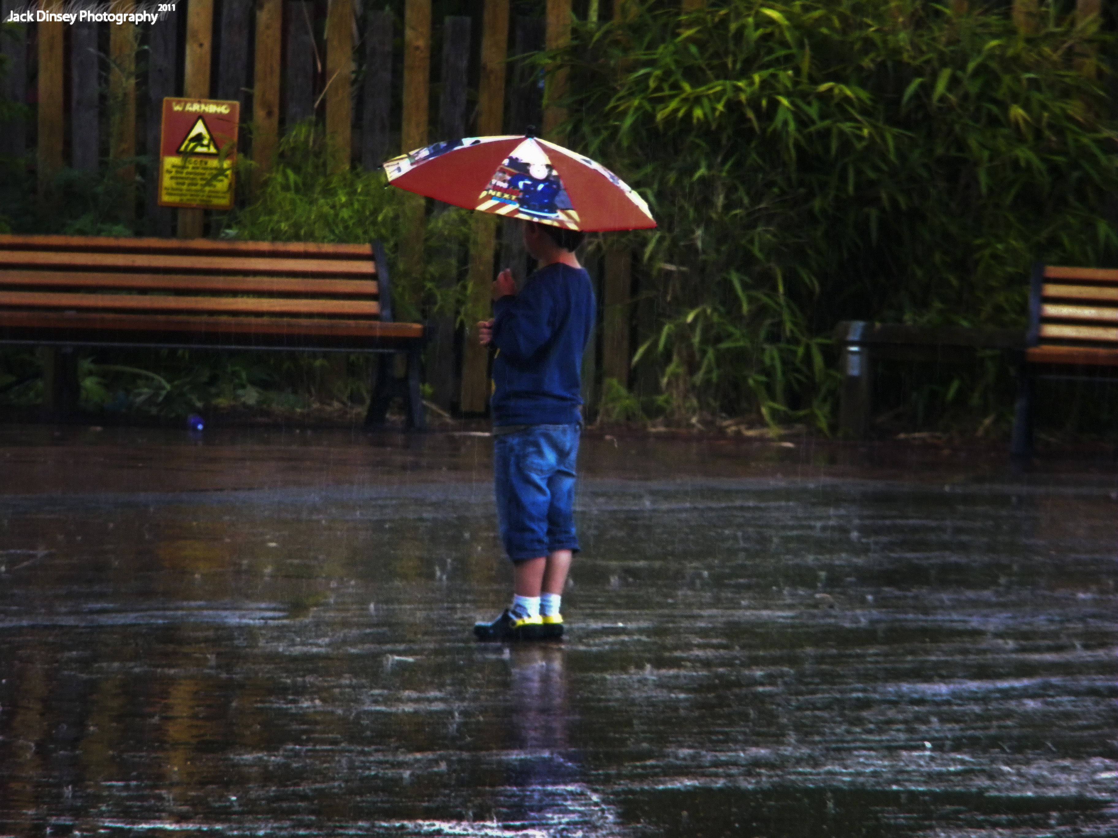雨中持傘少年 壁紙 — 一個孩子獨自站在雨中，在潮濕的公園小徑上拿著色彩繽紛的雨傘，背景有長椅和竹子。