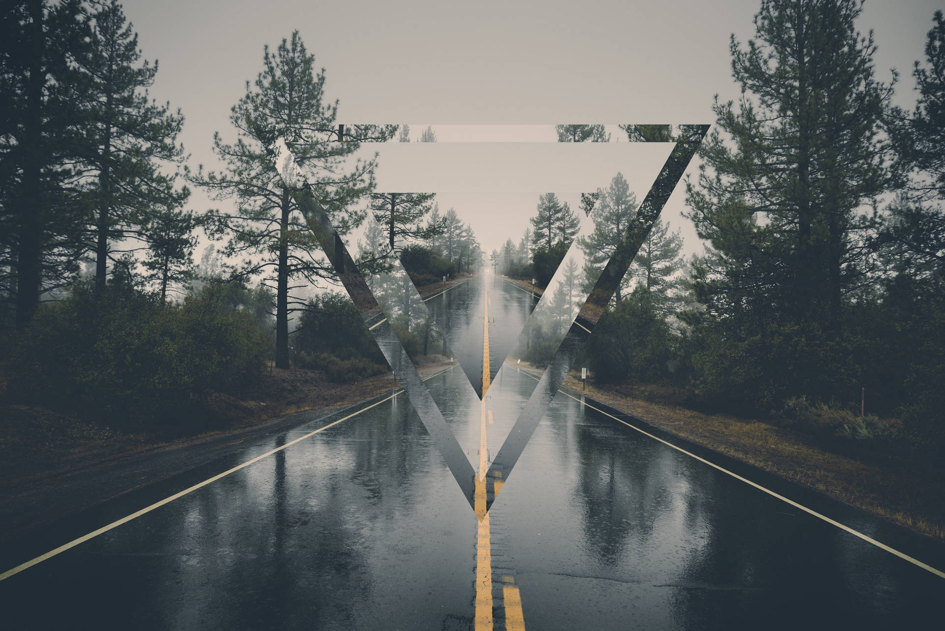 一條下雨的森林道路，帶有大型倒三角形圖形。