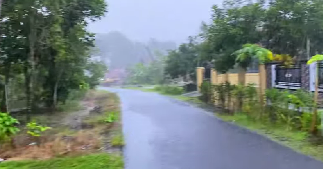 雨中的村莊道路 壁紙 — 一條濕瀝青路蜿蜒穿過霧氣瀰漫的森林區域，右側有茂密的綠色樹木和黃色圍欄。
