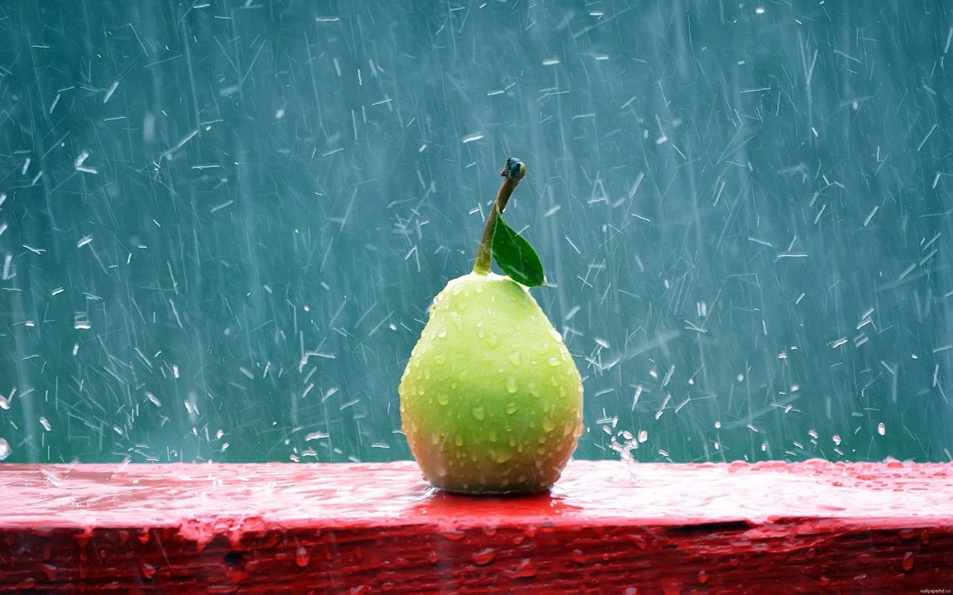 一個帶葉的綠色梨子在暴風雨中放在紅色邊緣上。