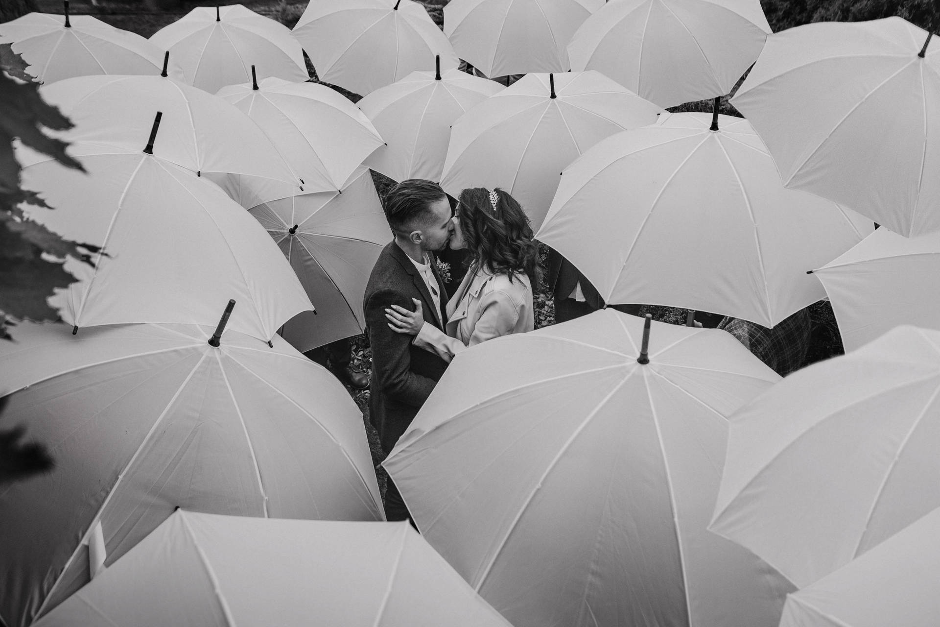 一對情侶在白色雨傘的田野中黑白接吻。