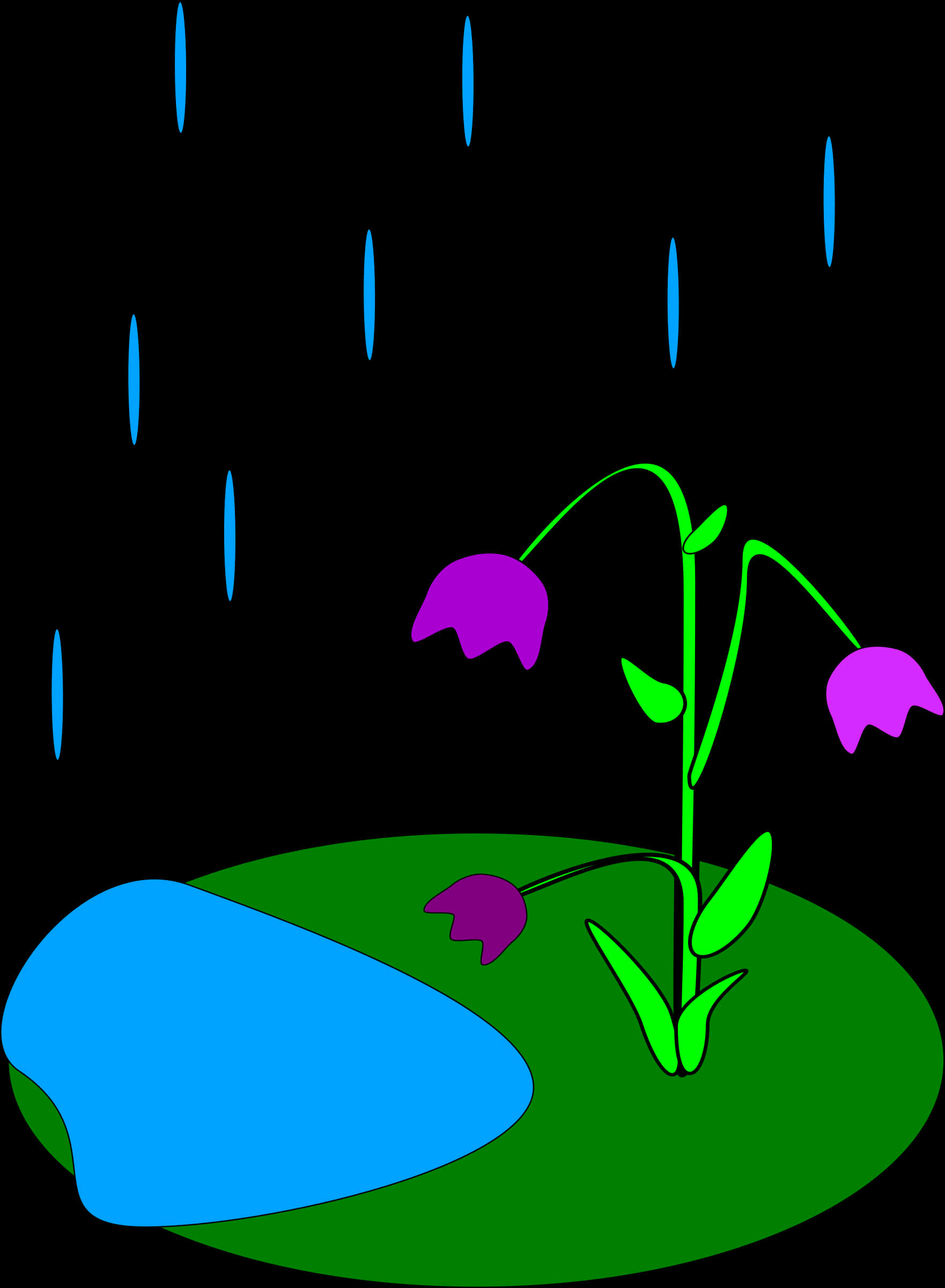 雨夜花朵插圖 壁紙 — 一朵風格化的紫色花朵，帶有綠色莖，生長在藍色岩石旁邊的綠色斑塊上，在黑色背景下，藍色雨滴落下。