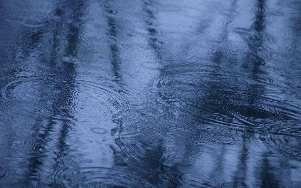 雨天安卓平板 壁紙 — 雨滴在深藍色水面上形成同心漣漪，反射出模糊的樹木剪影。